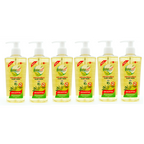 Eagle Brand Naturoil Eucalyptus Hand Wash 250ml