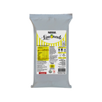 Nestle Lemonade package on a white background